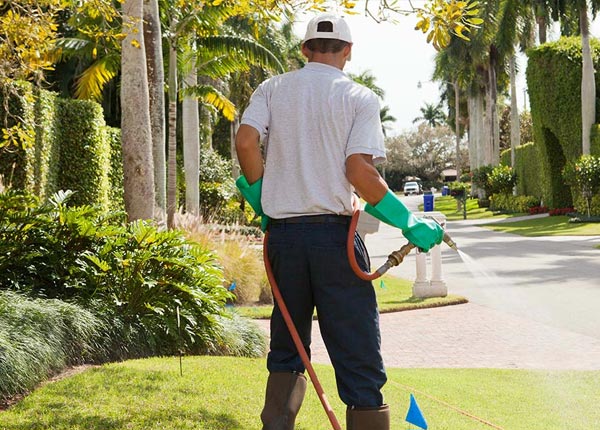 About Hialeah FL Pest Control Pros